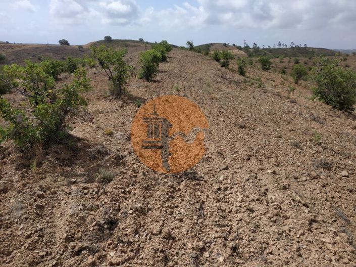 Image No.29-Terrain à vendre à Castro Marim