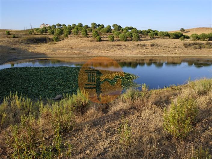 Image No.3-Plot for sale