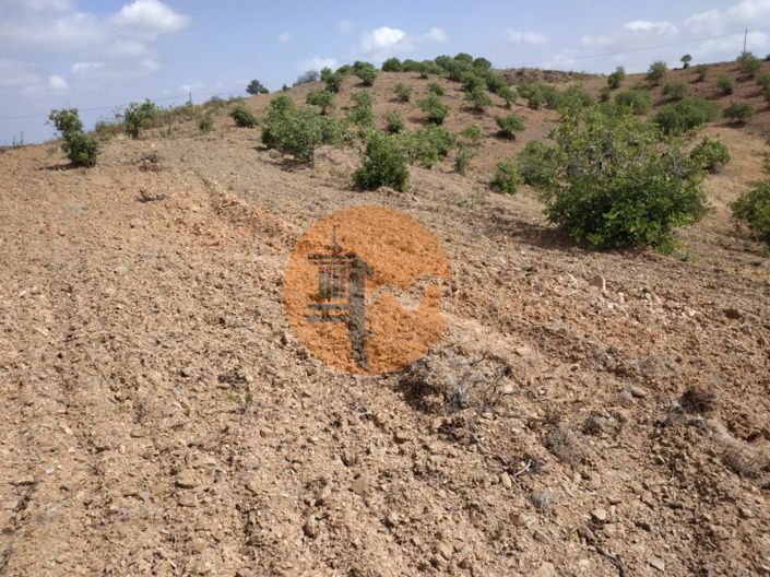 Image No.30-Terrain à vendre à Castro Marim