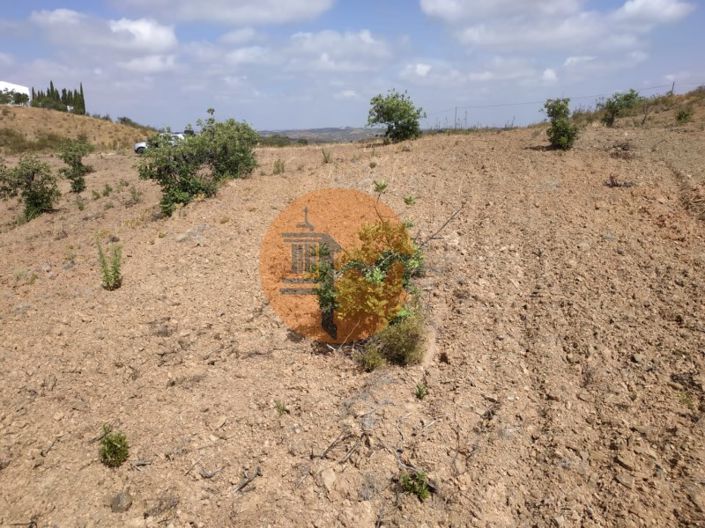 Image No.31-Terrain à vendre à Castro Marim
