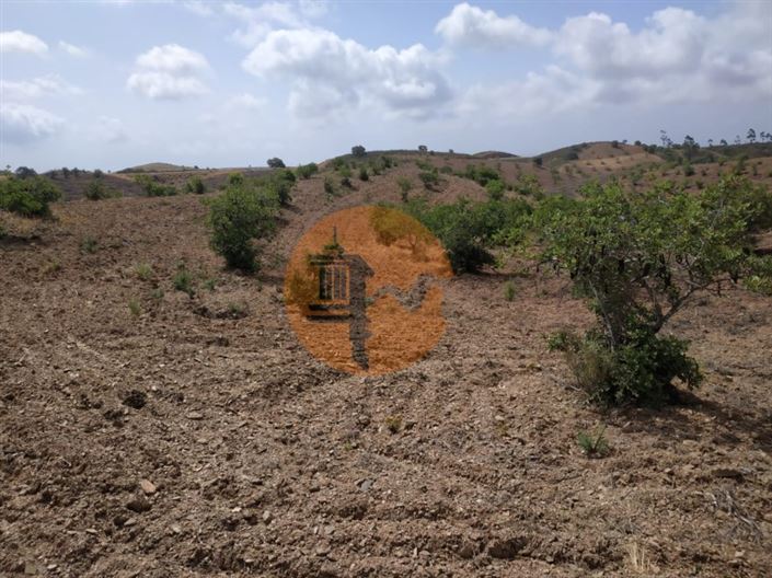 Image No.31-Plot for sale