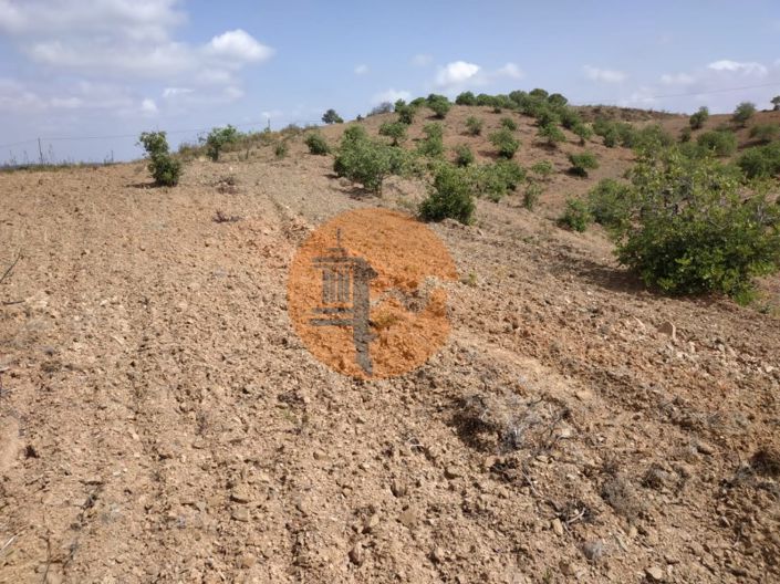 Image No.32-Terrain à vendre à Castro Marim