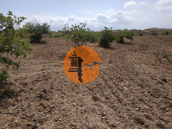 Image No.34-Plot for sale