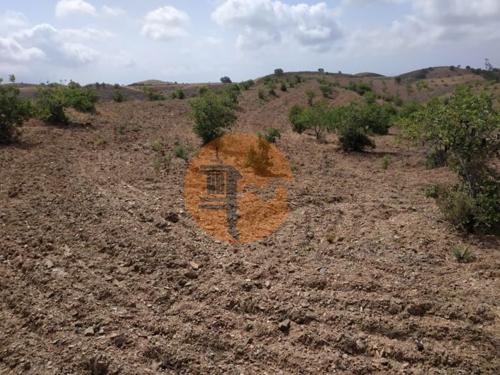 Image No.36-Terrain à vendre à Castro Marim