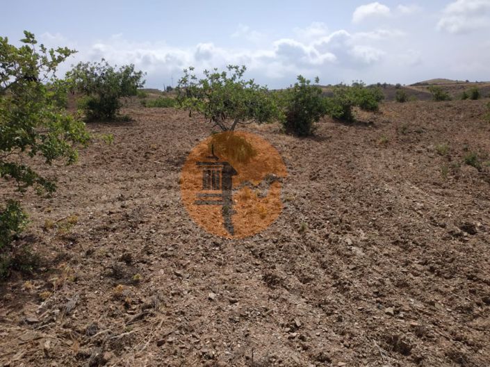 Image No.37-Terrain à vendre à Castro Marim