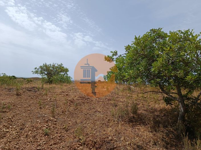 Image No.41-Plot for sale