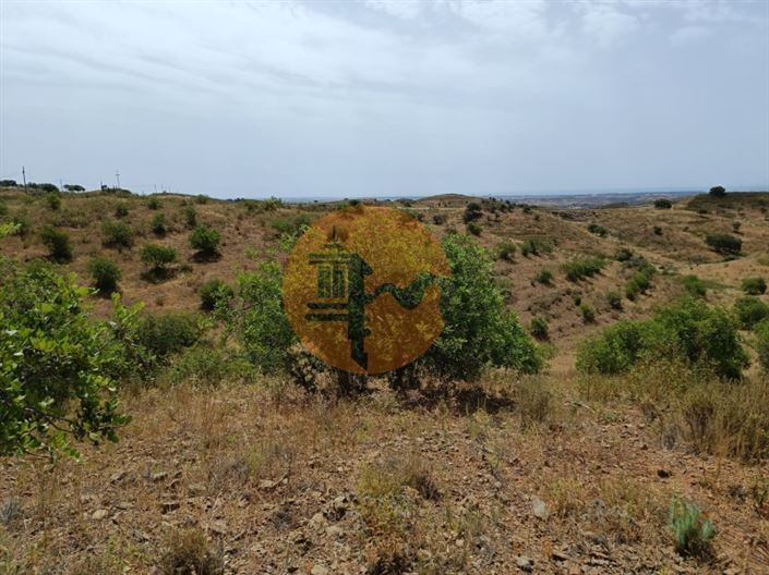 Image No.43-Plot for sale