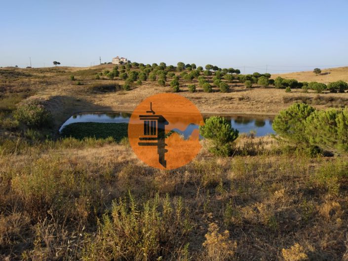 Image No.5-Plot for sale