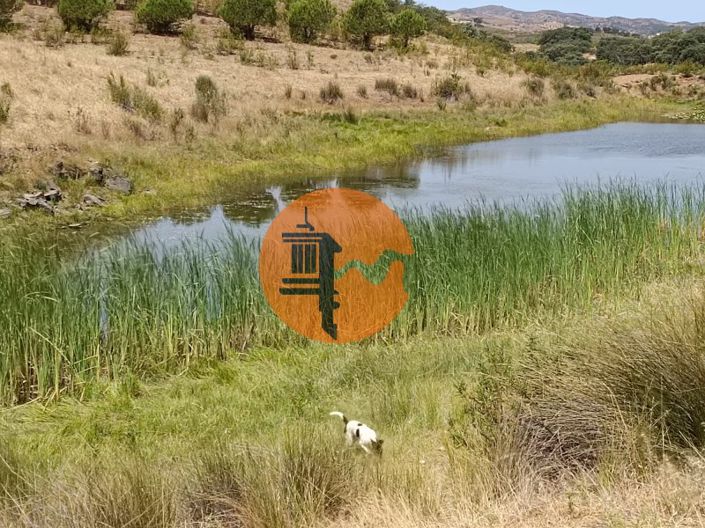 Image No.50-Plot for sale