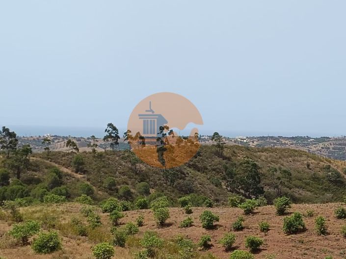 Image No.51-Terrain à vendre à Castro Marim