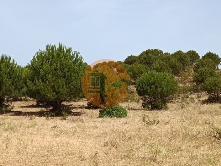 Image No.51-Plot for sale