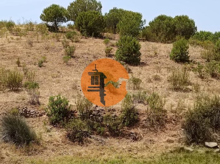 Image No.54-Plot for sale