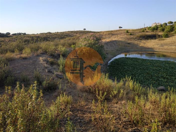 Image No.7-Plot for sale