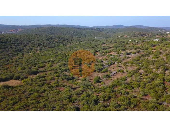 Image No.17-Plot for sale