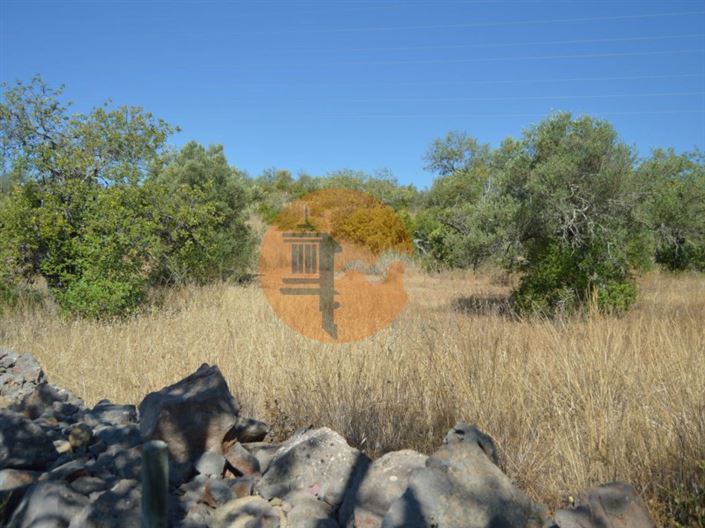 Image No.9-Plot for sale