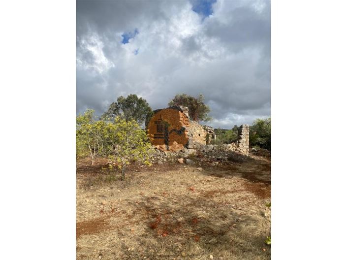 Image No.8-Plot for sale