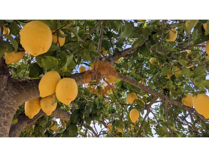 Image No.21-3 Bed House for sale