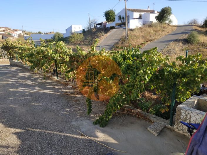 Image No.33-3 Bed House for sale