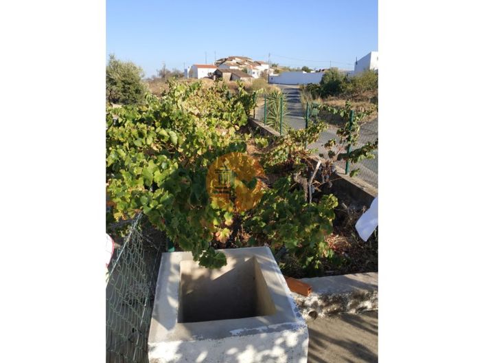 Image No.37-3 Bed House for sale