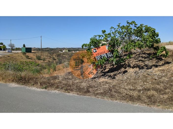 Image No.42-3 Bed House for sale