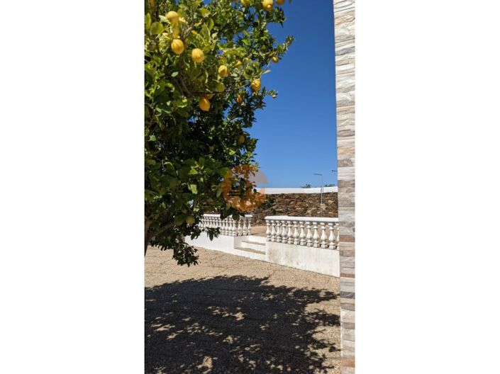 Image No.59-3 Bed House for sale