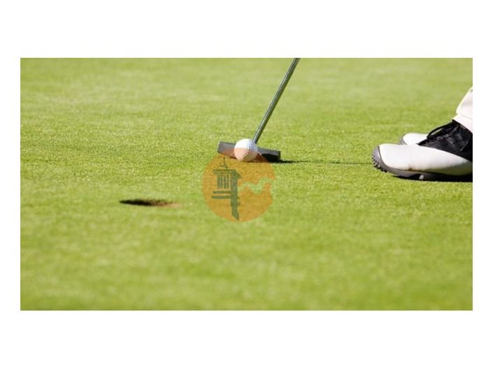 Image No.27-2 Bed House for sale