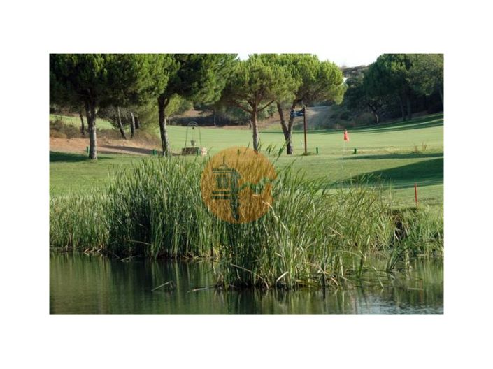 Image No.45-3 Bed House for sale