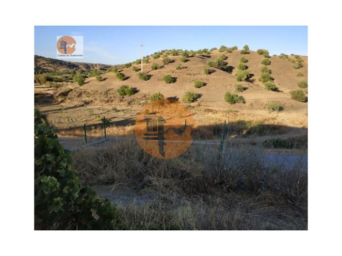 Image No.26-3 Bed House for sale
