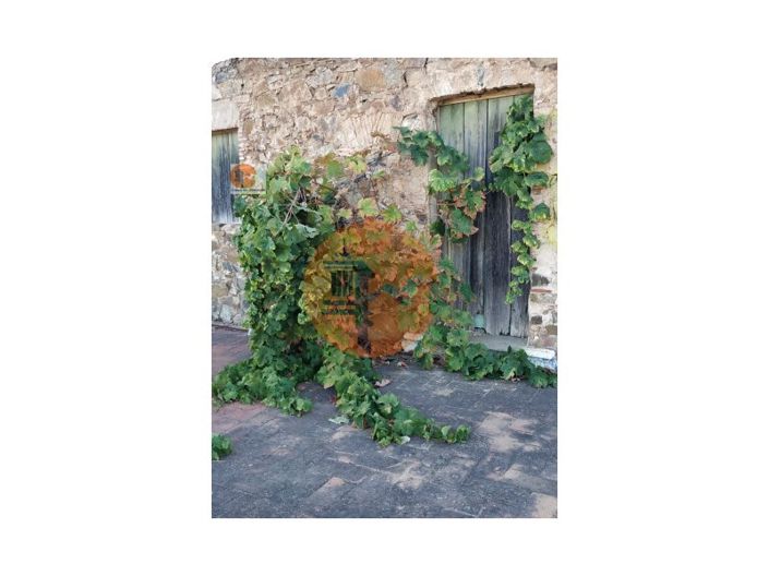 Image No.28-3 Bed House for sale