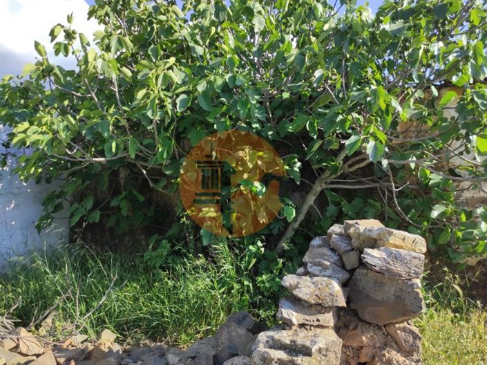 Image No.22-3 Bed House for sale