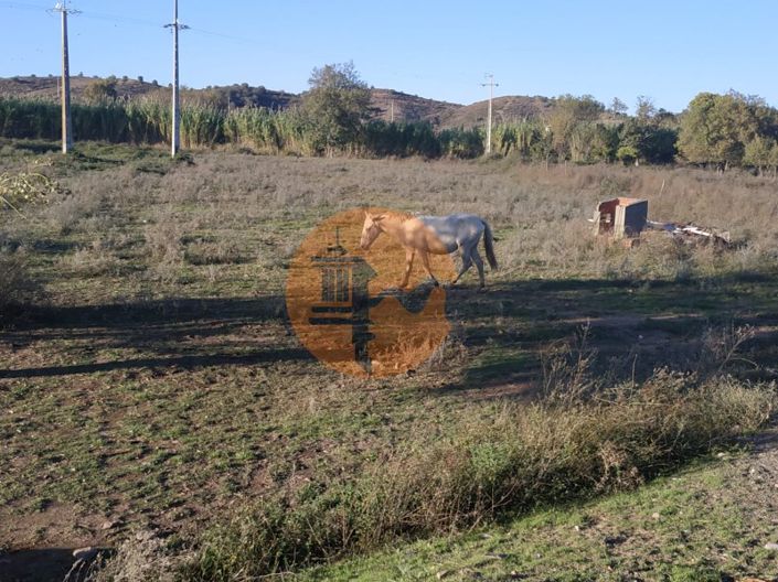 Image No.14-Terrain à vendre à Castro Marim