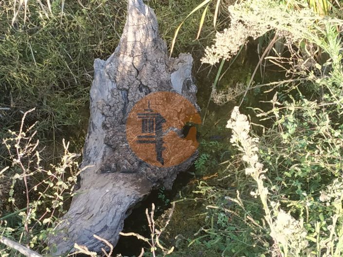 Image No.26-Terrain à vendre à Castro Marim