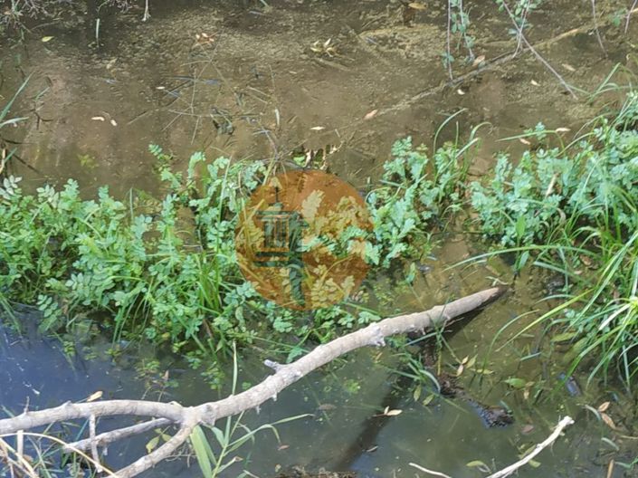 Image No.28-Terrain à vendre à Castro Marim