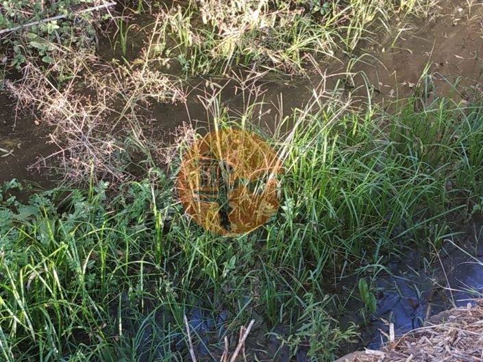 Image No.29-Terrain à vendre à Castro Marim