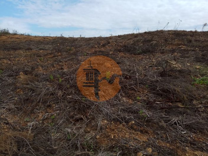 Image No.12-Plot for sale