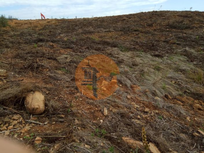 Image No.37-Plot for sale