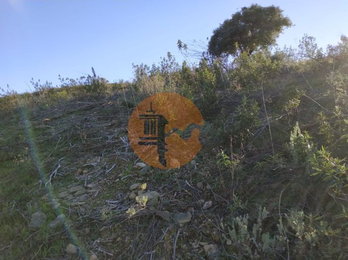 Image No.11-Plot for sale