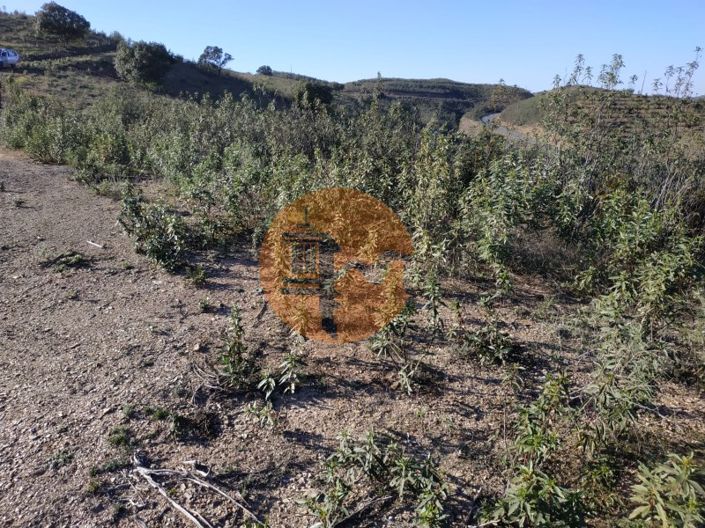 Image No.17-Plot for sale