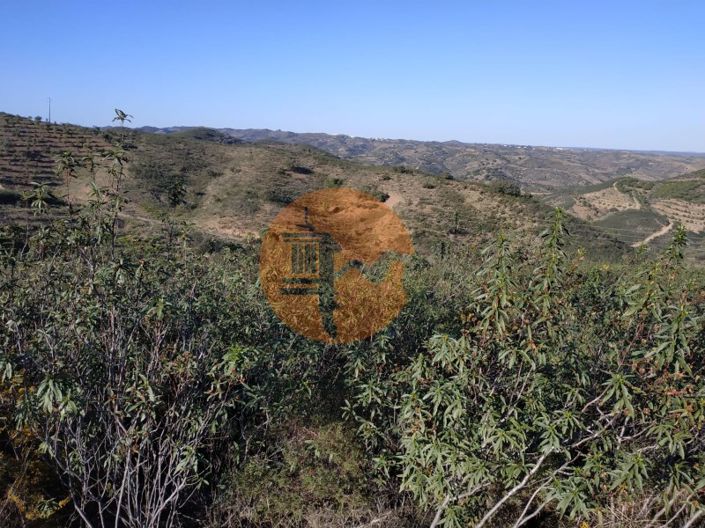 Image No.18-Plot for sale
