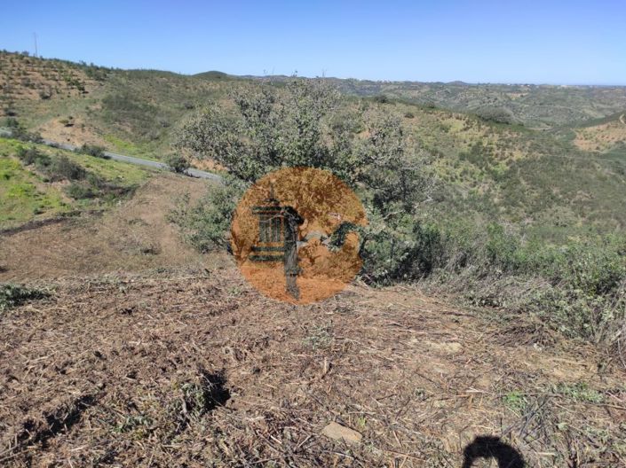 Image No.3-Plot for sale