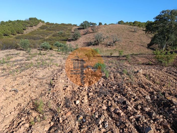 Image No.14-Plot for sale