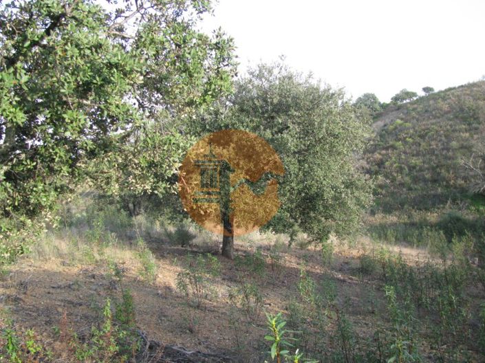 Image No.2-Plot for sale