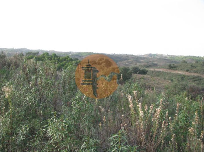 Image No.24-Plot for sale