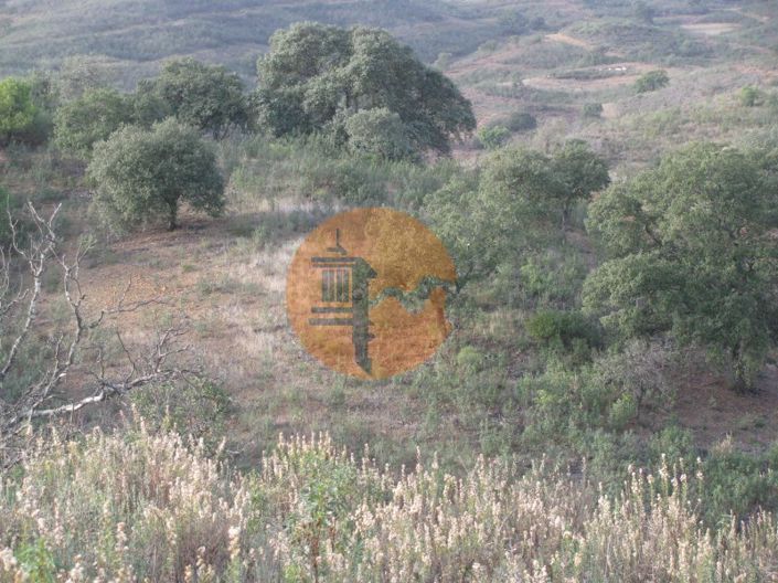 Image No.25-Plot for sale