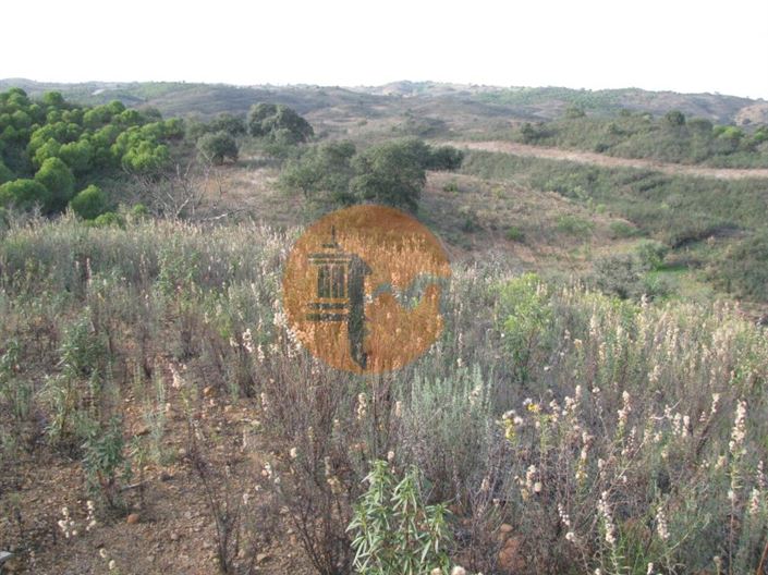 Image No.26-Plot for sale