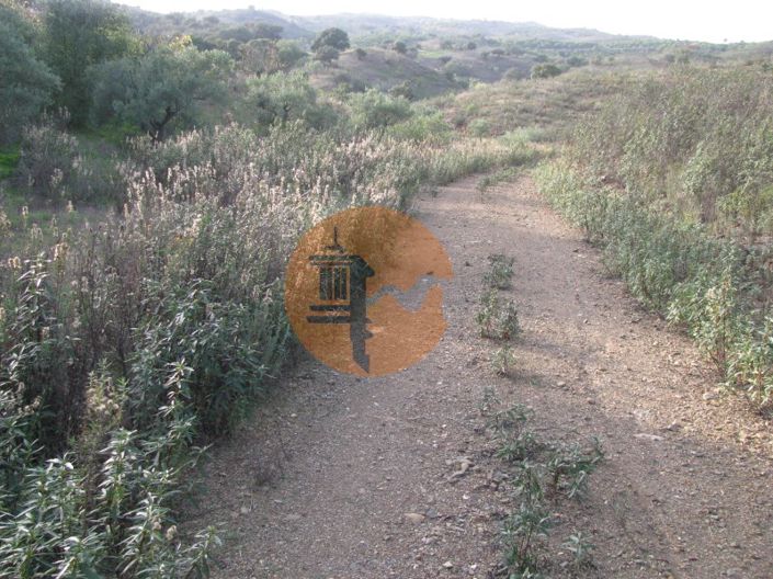 Image No.30-Plot for sale