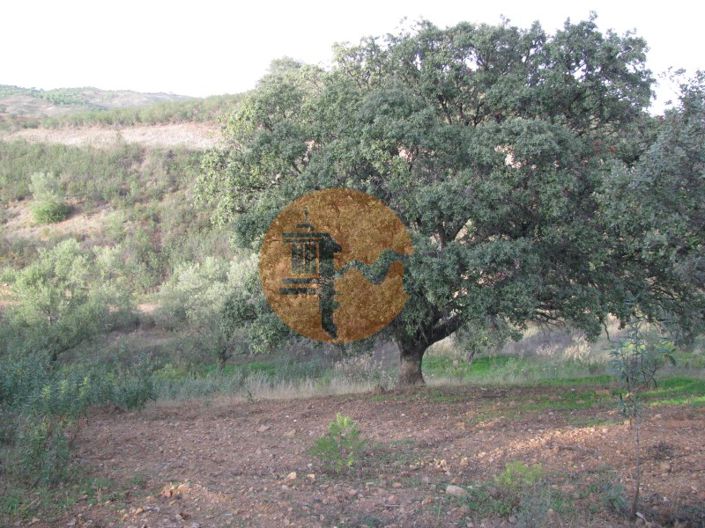 Image No.31-Plot for sale