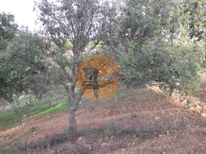 Image No.32-Plot for sale