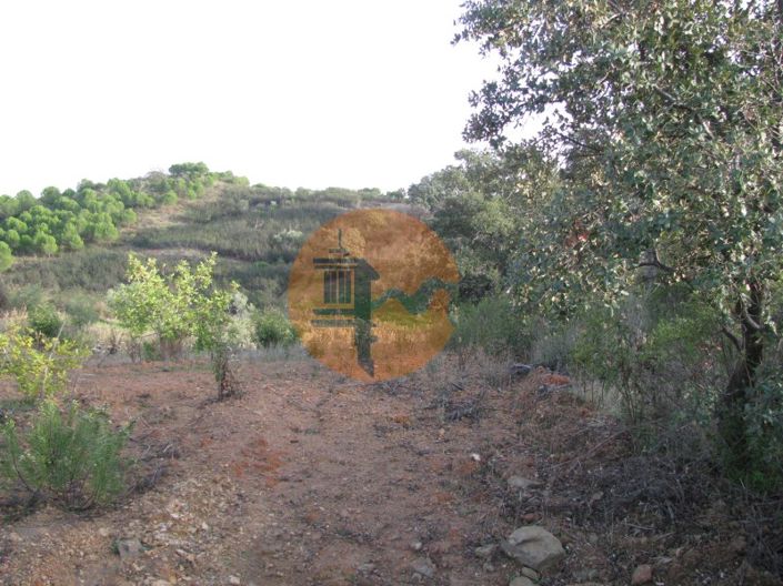 Image No.33-Plot for sale