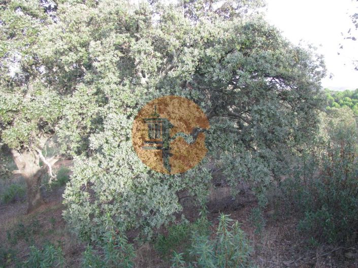 Image No.36-Plot for sale